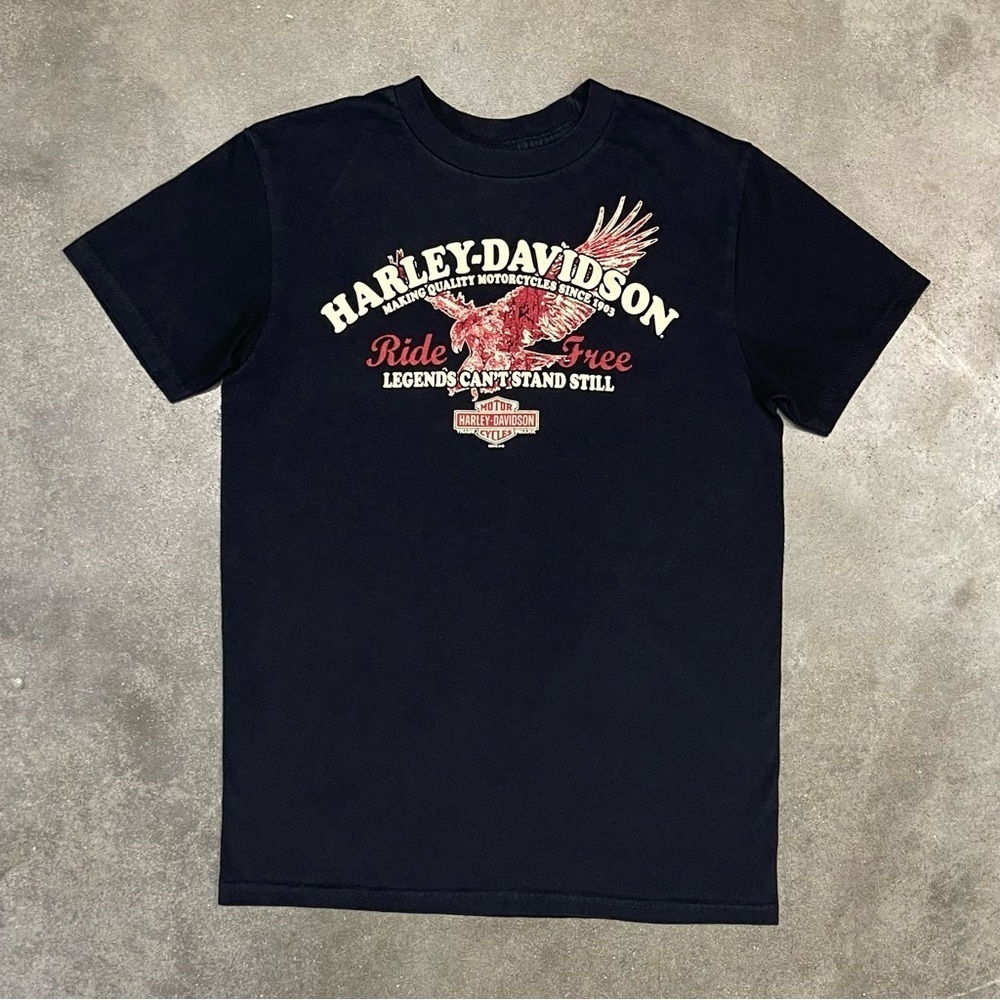 Vintage Harley Davidson Graphic 2010 Biker Grunge T-shirt